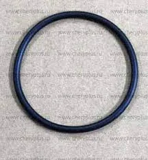 Уплотнительное кольцо фильтра CVT НАРУЖНЫЙ Xcite X-Cross 7  T0041772