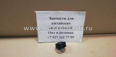 Ролик обводной HAVAL F7 2 pect  1025200XEB02