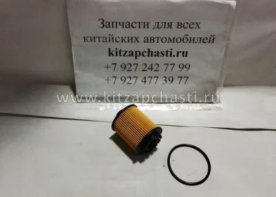 Масляный фильтр HAVAL H7 1017100AEN01